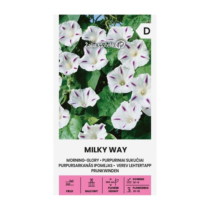 Seminte, Zorele Morning Glory Milky Way, Žalia Stotelė, plic, 0.5 grame