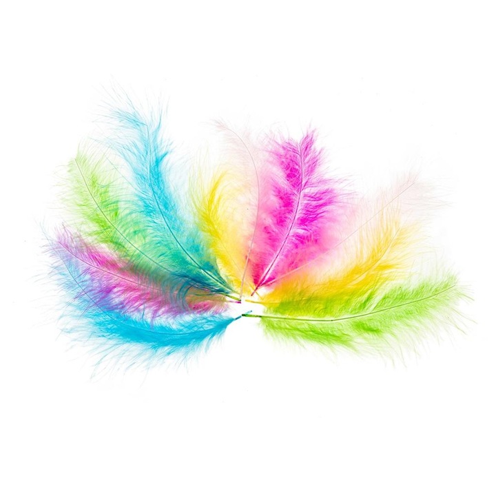 Set 8 pene decorative, BREWIS, 10-15cm, Multicolor