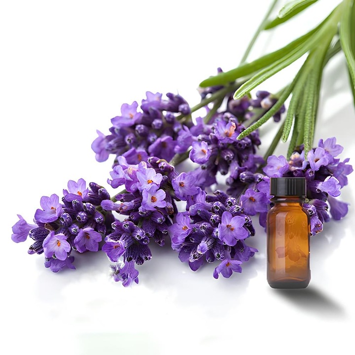 Етерично масло Лавандула (Lavandula angustifolia) чисто 100% натурално, 10 мл, Санто Рафаел