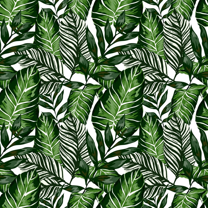 Мебелен стикер Vénilia Monstera, Мотив на листа, 45 см x 2 м, Многоцветен