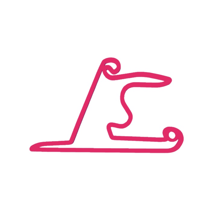 Breloc chei, "FORMULA 1 SHANGHAI", 33X 50 mm roz zmeuriu