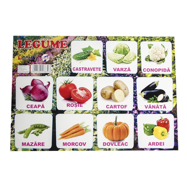 Plansa legume A4 din carton cu lacuire UV