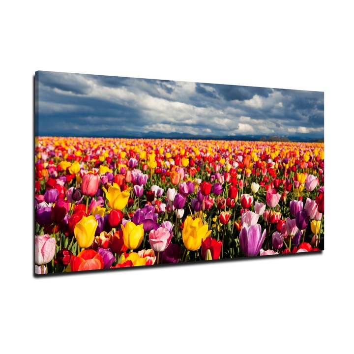 Tablou canvas Camp cu lalele 1 panel 40x60 cm