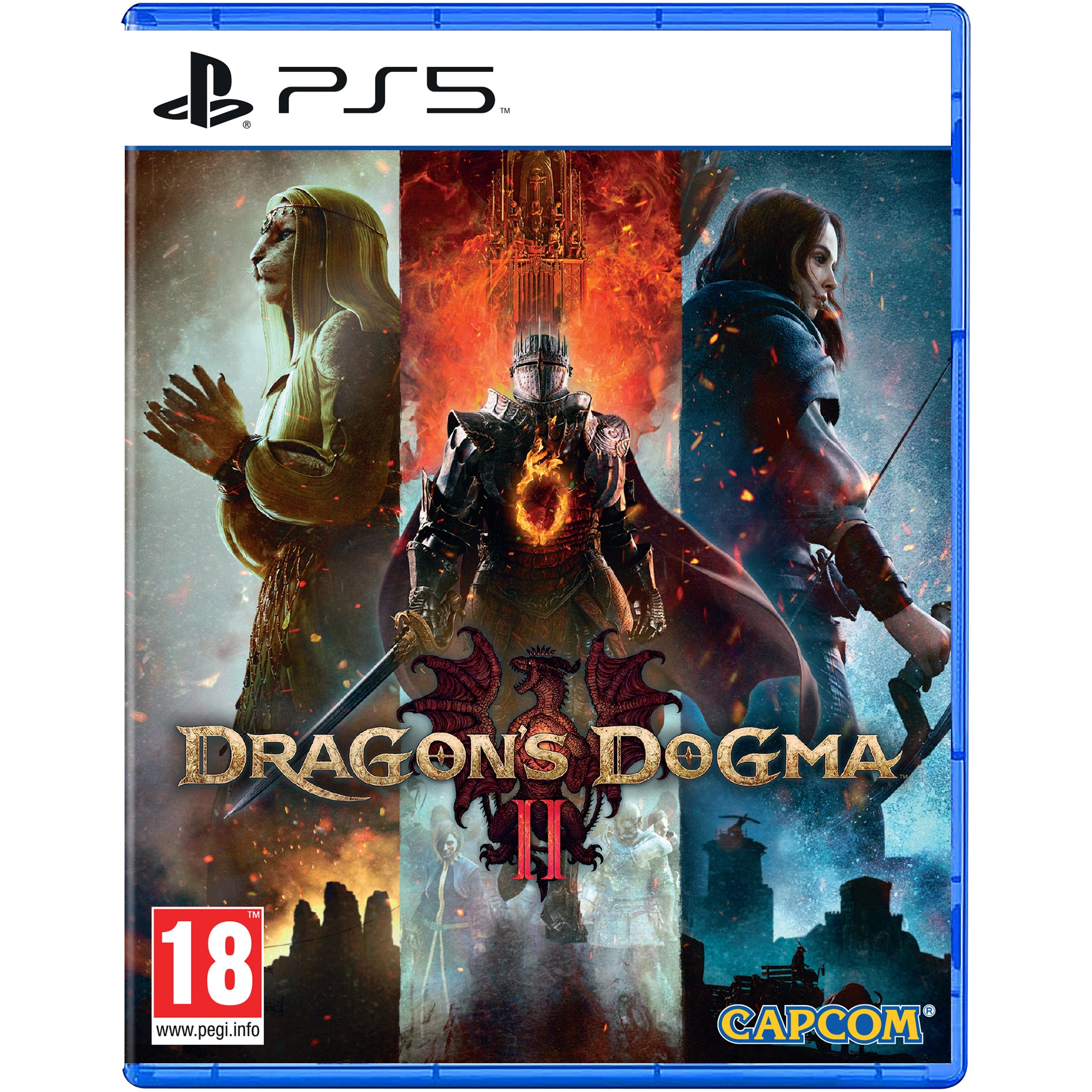 Capcom PS5X-0347