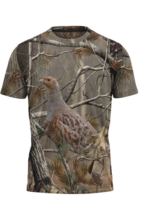 Tricou barbati fazan 10.40, maneca scurta, multicolor, 4XL INTL