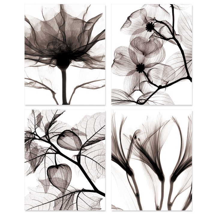 4 db dekoratív poszter készlet, A ART·ZONE, vászon, 20x25 cm, fehér/fekete