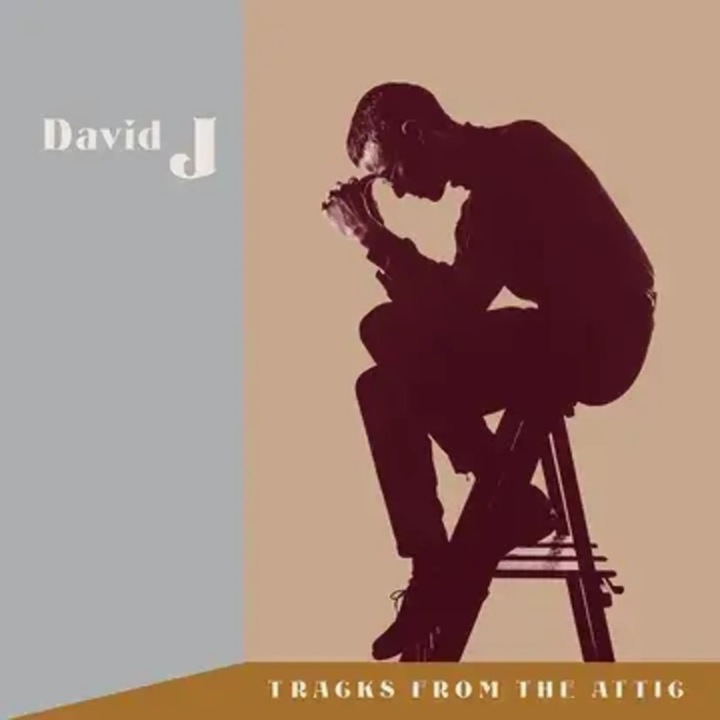 Vinil DAVID J Tracks From The Attic, Independent Project Records, 3xLP