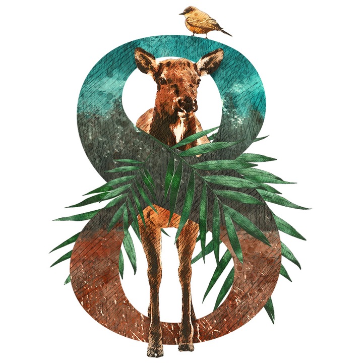 Стикер с цифра, 8, листа, врабче, птица, елен, с бели ръбове, PVC винил 10 см