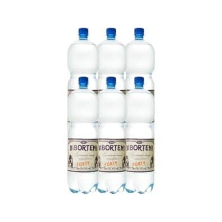 Apa minerala carbogazoasa Forte, Biborteni, 6 x 1 L SGR