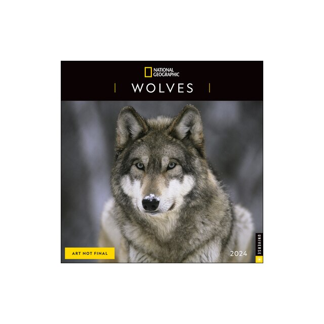 National Geographic Wolves 2024 Wall Calendar, National Geographic