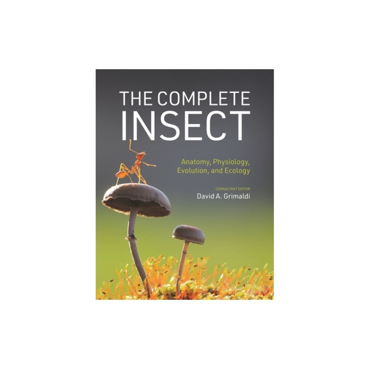 The Complete Insect Anatomy, Physiology, Evolution, and Ecology, David A. Grimaldi