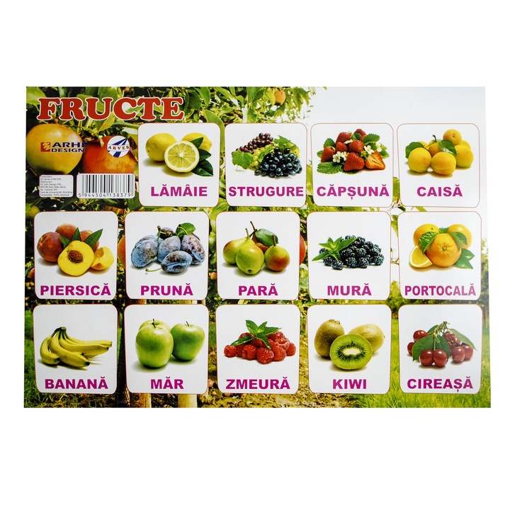 Plansa Fructe A4 din carton cu lacuire UV