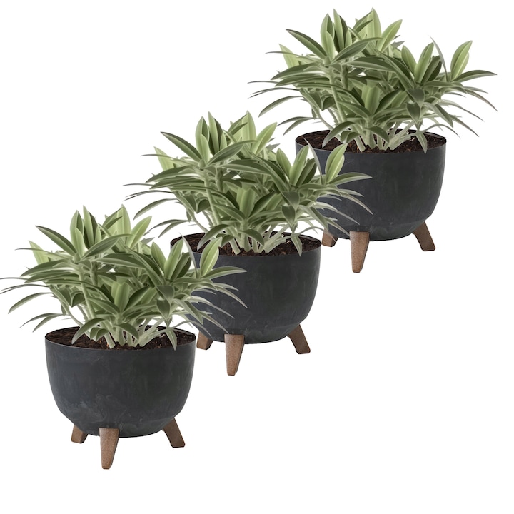 Set de Ghiveci 3 bucati rotund Lamela Roma LA797-71 24x20cm, beton negru