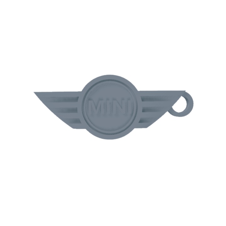 Breloc chei, "MINI", 29X 73 mm argintiu