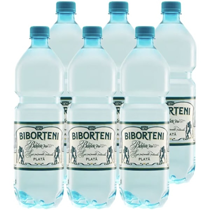 Apa minerala Plata, Biborteni 6 x 1 L