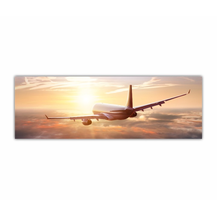Tablou pe placa PVC, 1 piesa, Avion 0488, Tipar UV direct pe placa din PVC expandat de culoare alba - grosime 5mm (fara rama), 120X40 cm