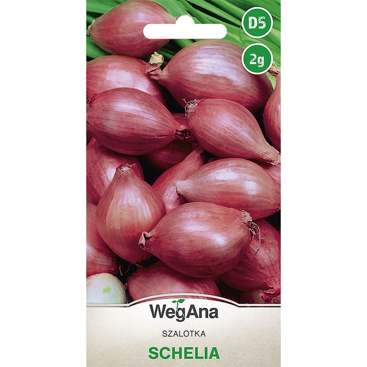 Seminte de gradina, Seminte de ceapa Schelia 2g, WegAna, rezistenta la boli, plantare in aprilie-mai, calitate superioara, seminte premium, seminte de top