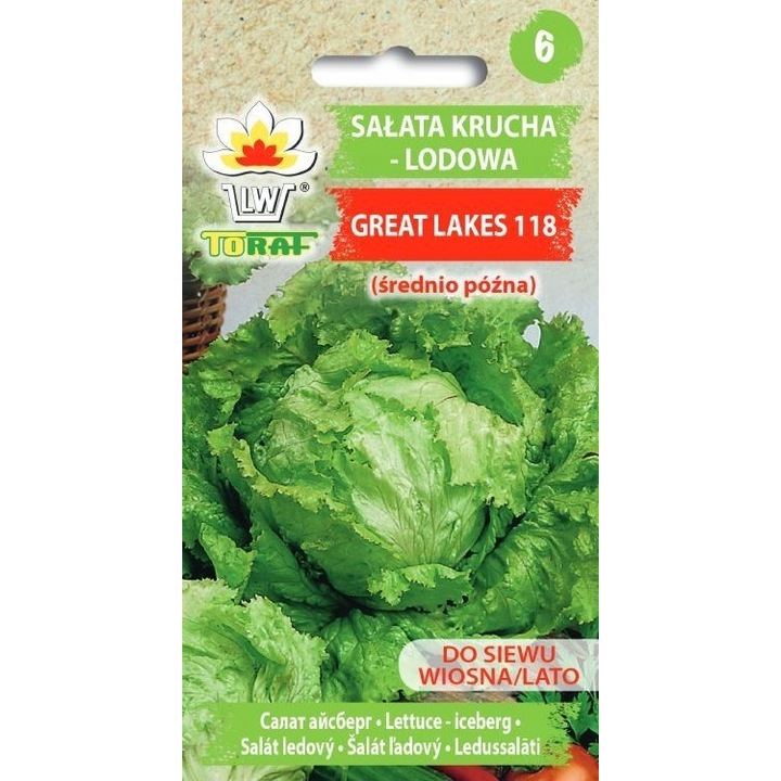 Jégsaláta, Toraf, Zöld, 1 g