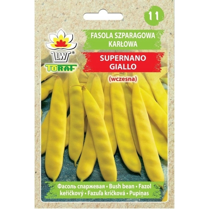 Seminte de fasole verde pitica, Toraf, Verde, 30 g