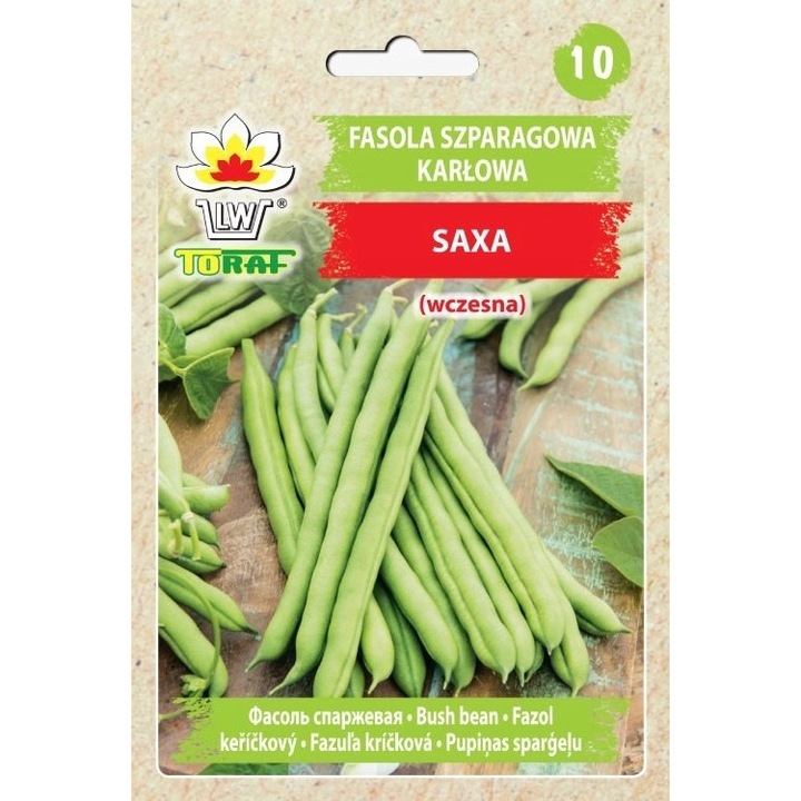Seminte de fasole verde, Toraf, 30g