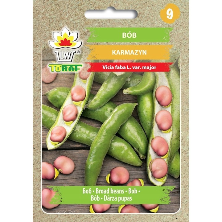 Seminte de fasole Karmazyn, Toraf, 30g