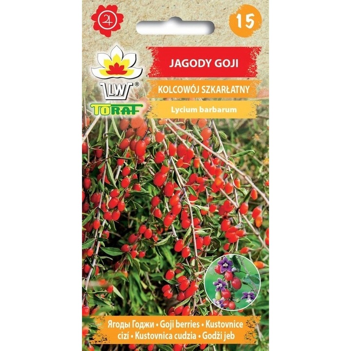 Seminte de fructe de padure, Toraf, 0.1 g