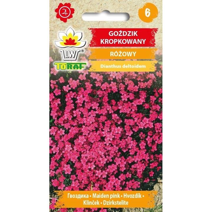 Seminte de garoafe cu pete, Toraf, 0.3g