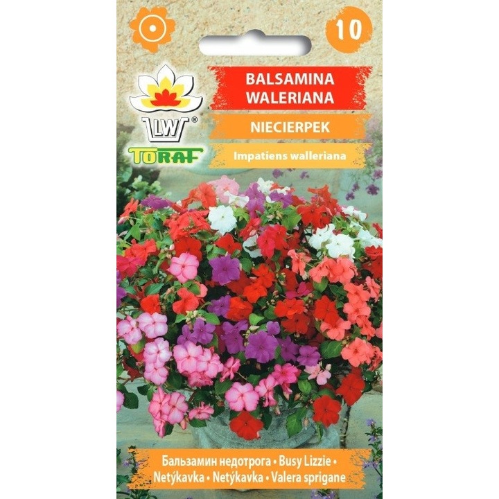 Seminte de flori, Toraf, 2g, multicolor