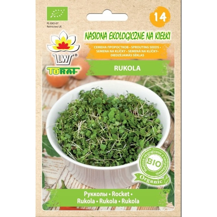 Semintele de germinare Toraf, Rucola