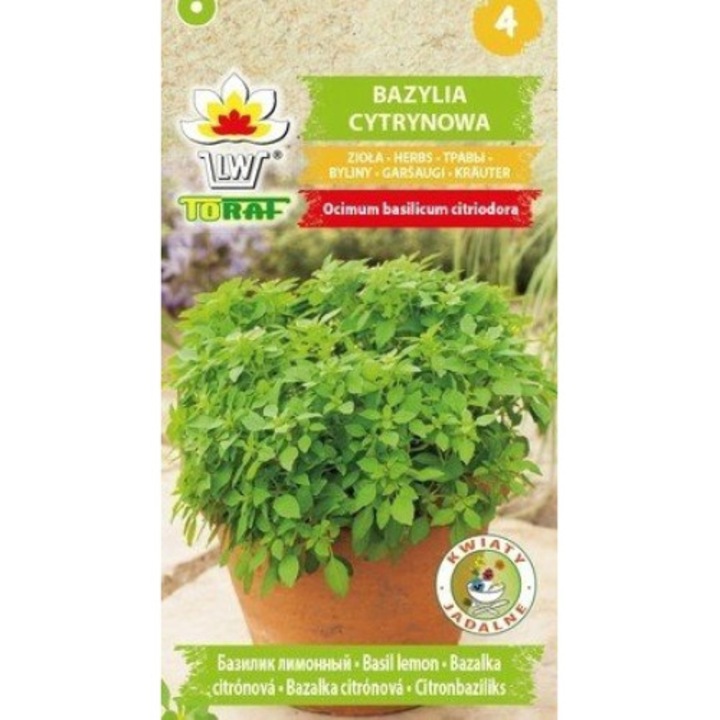 Seminte de busuioc lamaie Toraf, 0.5g