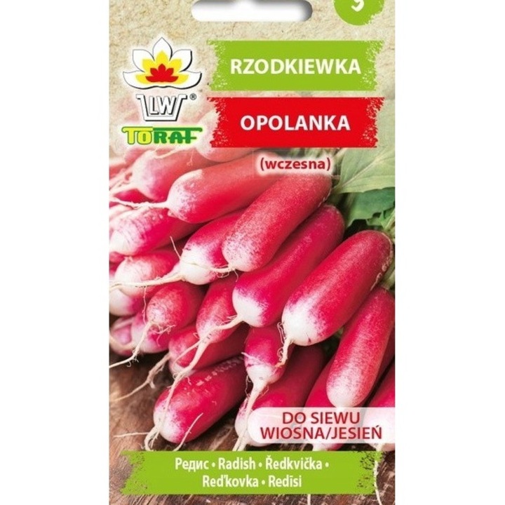 Seminte de ridichi Opolanka, Toraf, 10g