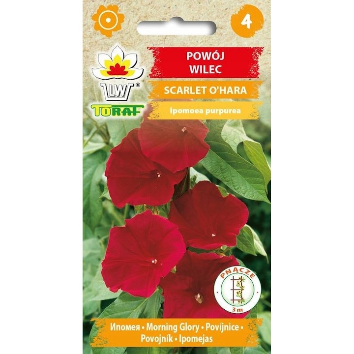 Семена, Ипомея, Morning Glory Seeds Toraf, Scarlet O'Hara, 2гр