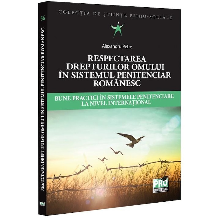 Respectarea drepturilor omului in sistemul penitenciar romanesc. Bune practici in sistemele penitenciare la nivel international, Alexandru Petre