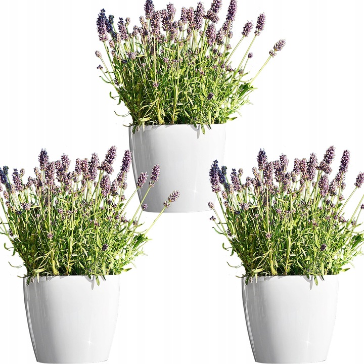 Set de Ghiveci 3x rotund Lamela Magnolia 180 LA203-05 18x16cm, Alb lucios