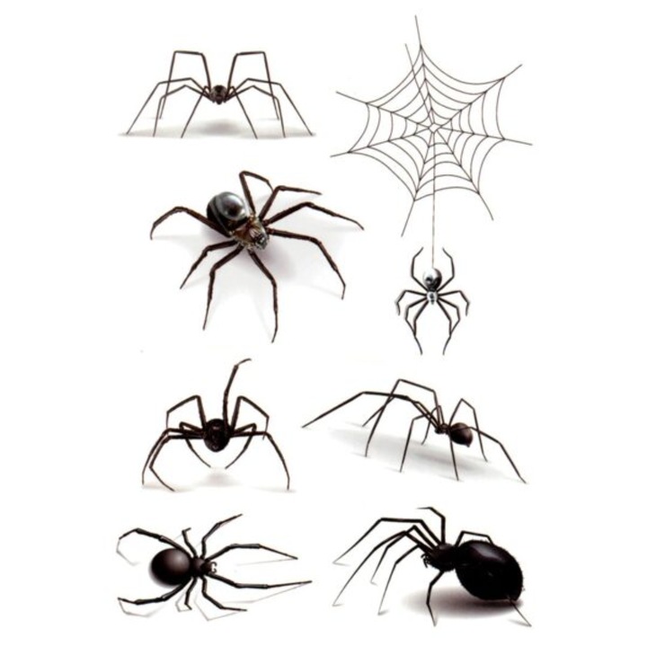 Tatuaj temporar, Flash Tattoos Romania, All Spiders, rezistent la apa, aplicare rapida, 15x10 cm, 1 Buc