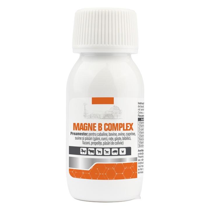 Solutie orala cu vitamine MAGNE B COMPLEX, 50 ml