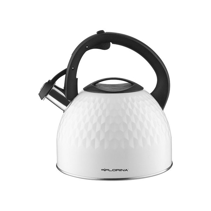 Fierbator turistic electric pliabil 0.6L 600W albastru si alb