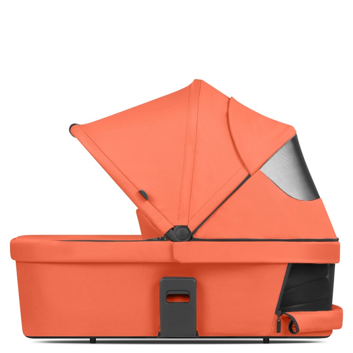 Landou ABC Design Carrot pentru nou-nascut