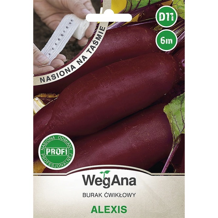 Seminte de gradina, Seminte de sfecla rosie pe banda, WegAna Alexis, 6m, calitate superioara, seminte premium, seminte de top