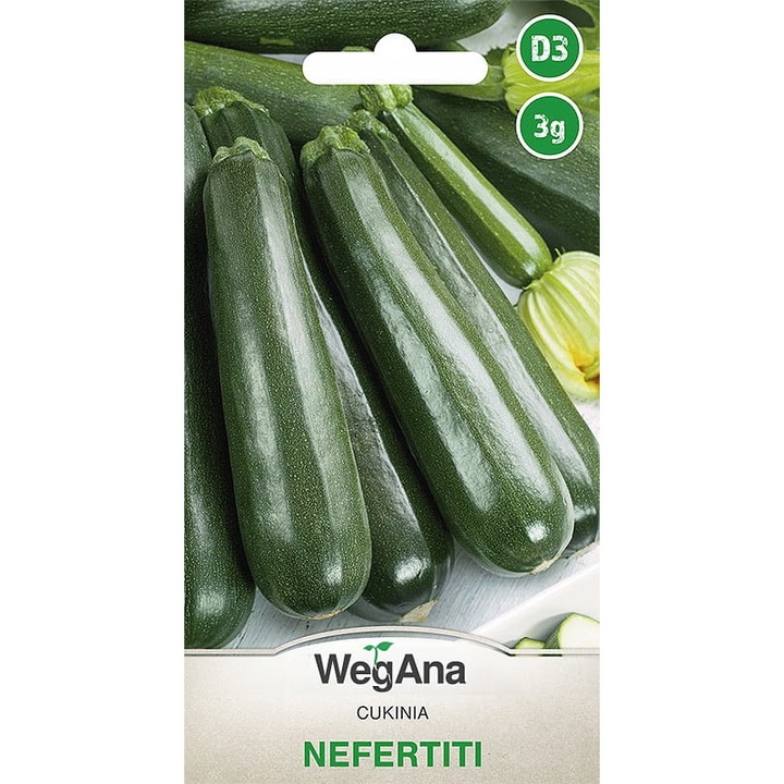 Seminte de gradina, Seminte - Dovlecel, WegAna, 3 g, Verde, calitate superioara, seminte premium, seminte de top