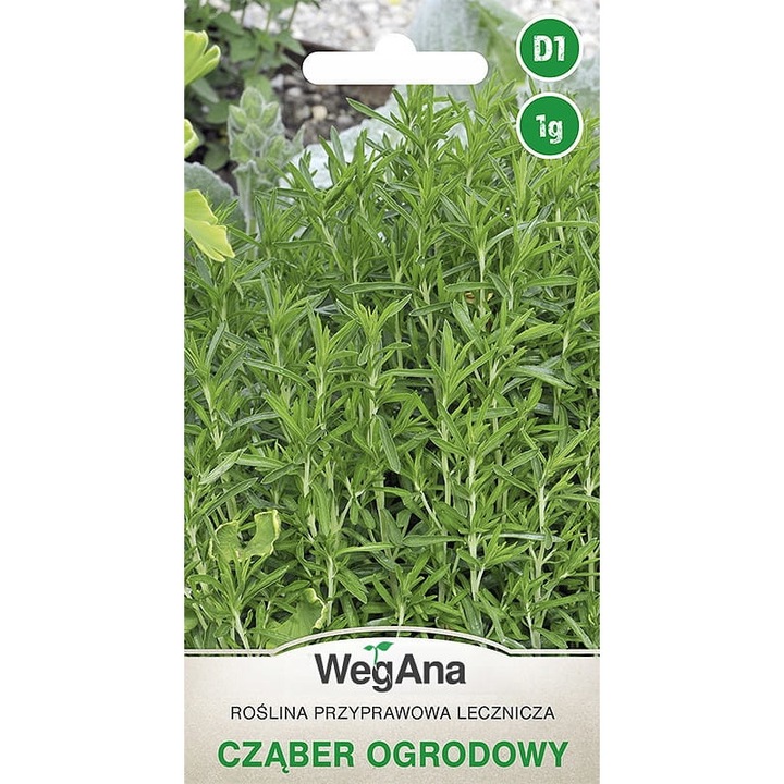 Seminte de gradina, Seminte - Cimbru, WegAna, 1 g, Verde, calitate superioara, seminte premium, seminte de top