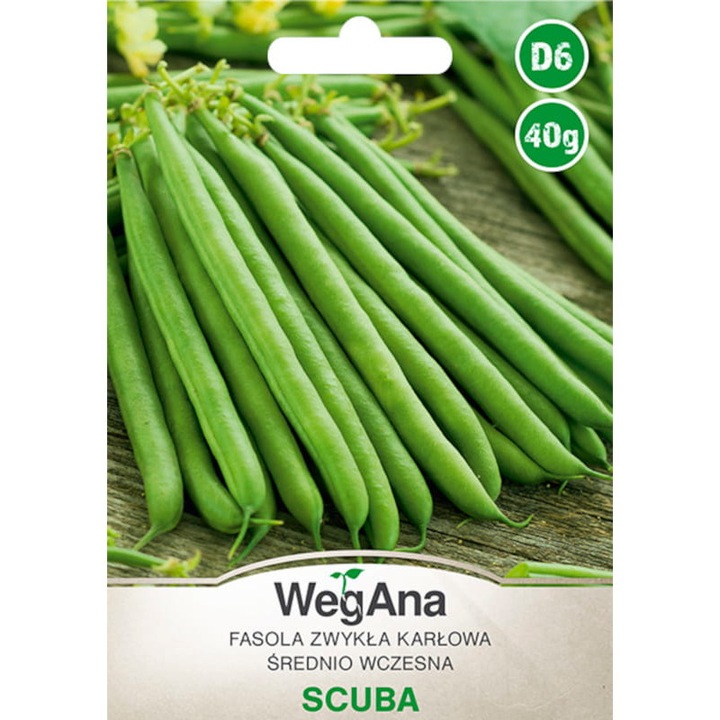 Seminte de gradina, Seminte de fasole verde, WegAna, 40 g, Verde, calitate superioara, seminte premium, seminte de top