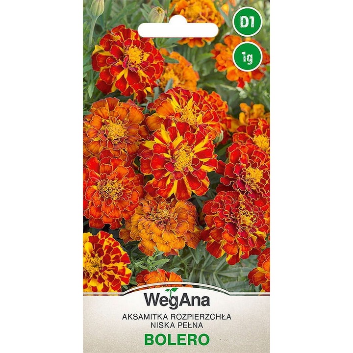 Seminte de gradina, Seminte flori, WegAna, 1 g, Multicolor, calitate superioara, seminte premium, seminte de top