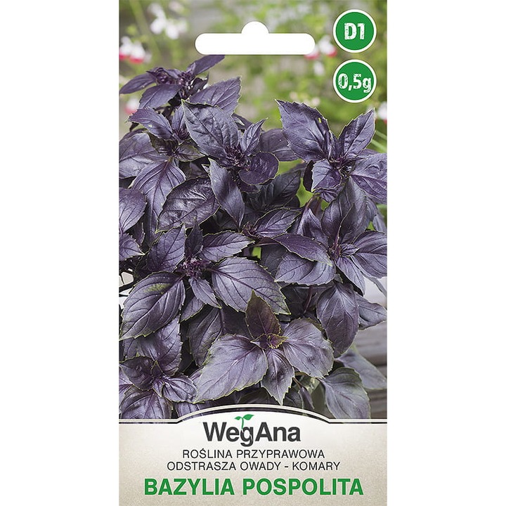 Seminte aromatice, Seminte de busuioc, WegAna, 0.5 g, calitate superioara, seminte premium, seminte de top