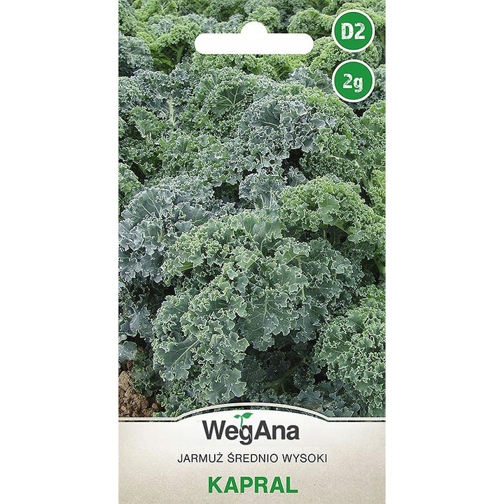 Seminte de gradina, Seminte de kale Kapral, WegAna, 2g, calitate superioara, seminte premium, seminte de top