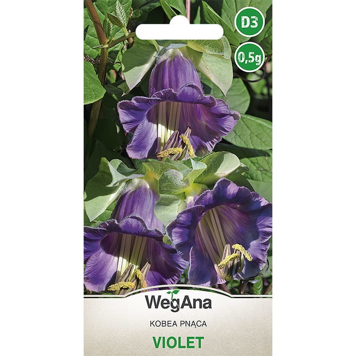 Seminte de gradina, Seminte flori, WegAna, 0.5 g, calitate superioara, seminte premium, seminte de top