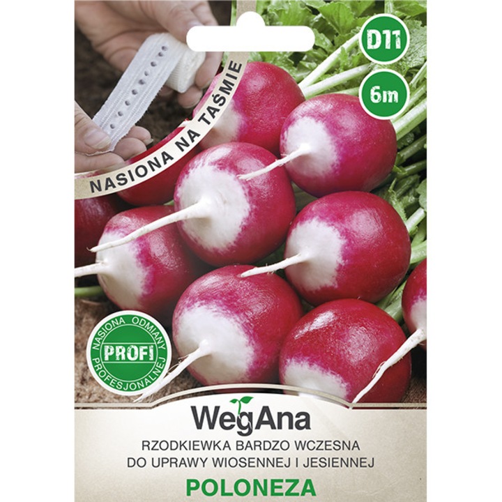 Seminte de gradina, Seminte de Ridiche Poloneza, 6 m, WegAna, 10g, calitate superioara, seminte premium, seminte de top