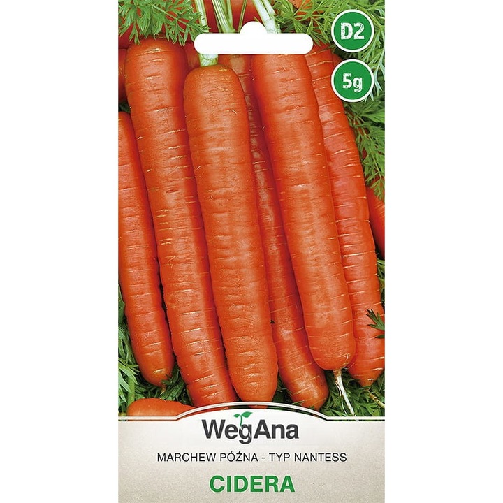 Seminte de morcovi, WegAna, 5 g