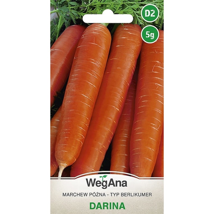 Seminte morcovi, WegAna, 5 g