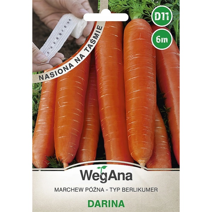 Seminte de gradina, Seminte de morcov, WegAna, 1g, calitate superioara, seminte premium, seminte de top